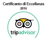 TripAdvisor 2016